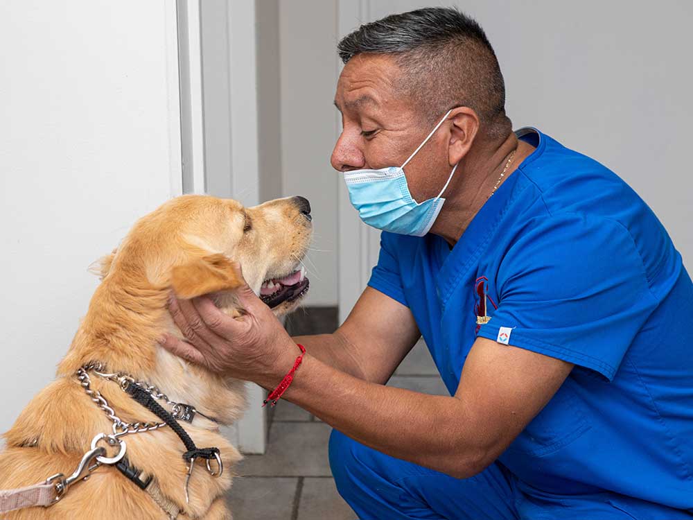 gvc team member petting a dog