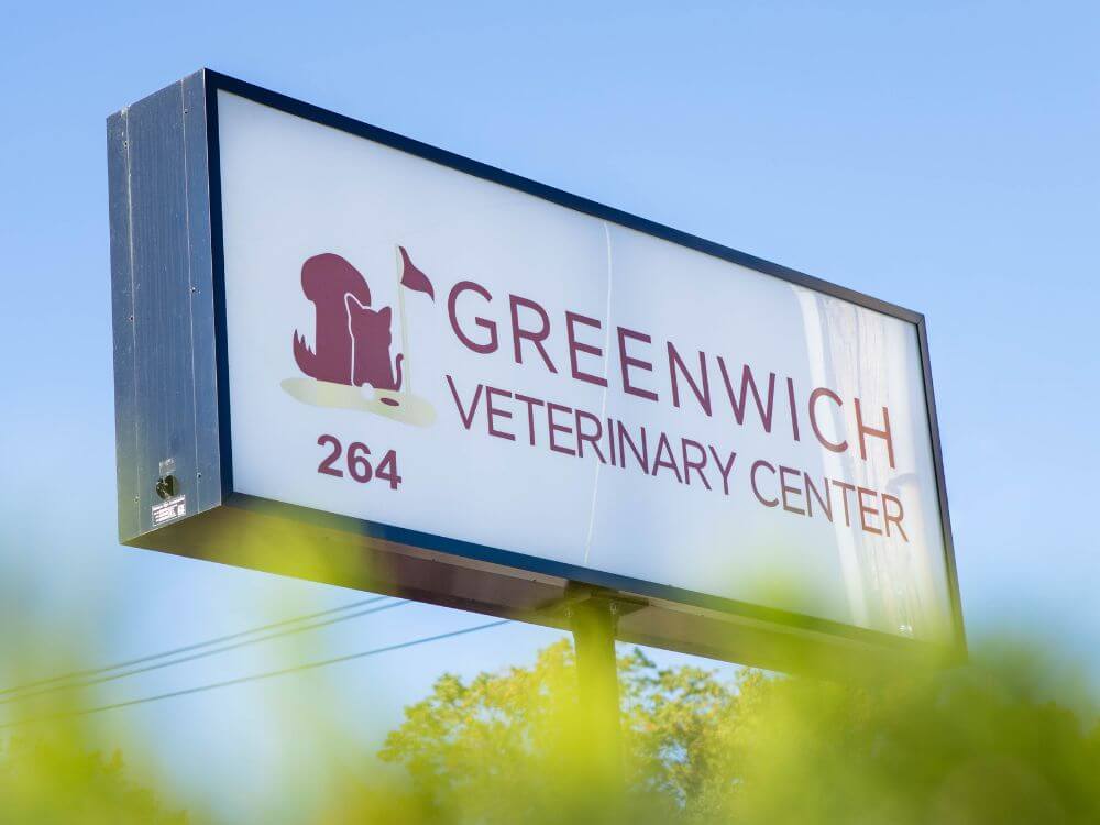 greenwich veterinary center signage