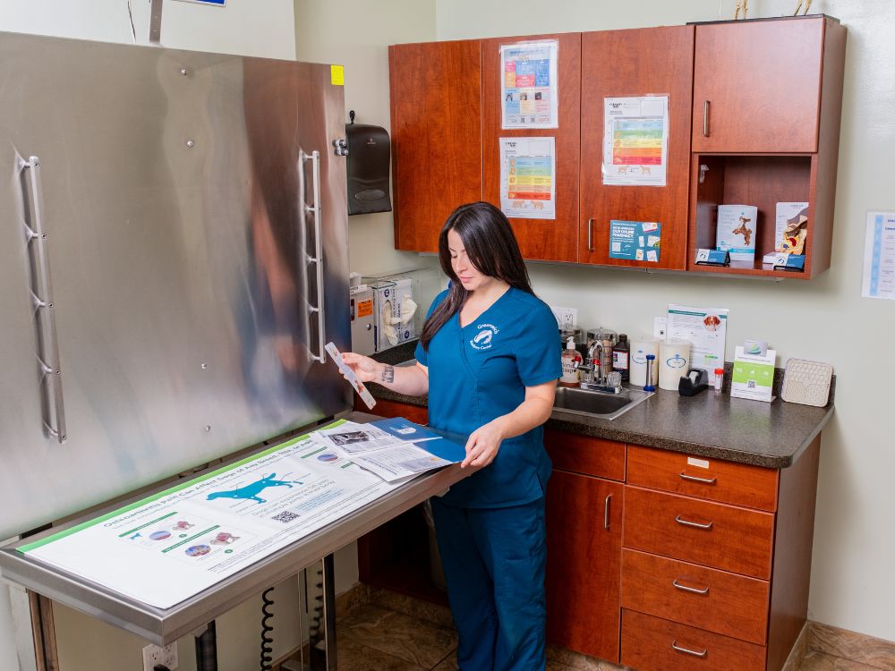 Technician Samantha in the pet examination room
