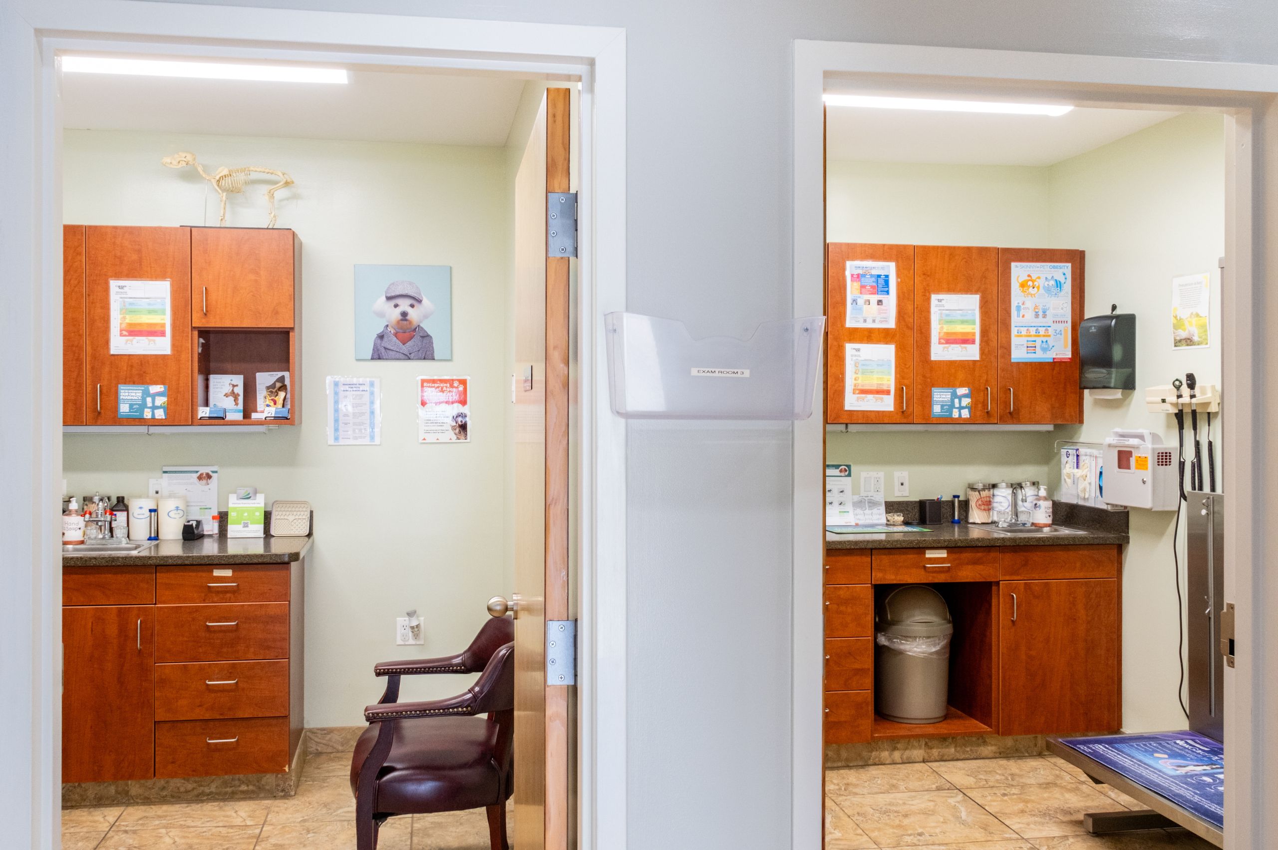 Greenwich Veterinary Center Interior
